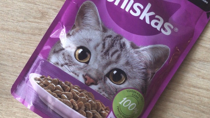 Sokak kedisi somonlu yaş mama sever mi?