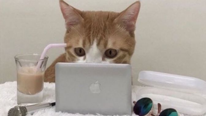 Evinizden eksik etmediğiniz içecek nedir?