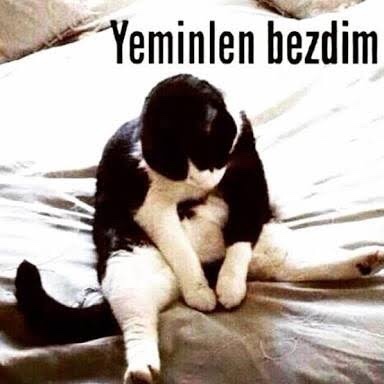 Size aşık olan birisi hangi huyunuzdan şikâyetçi olur?
