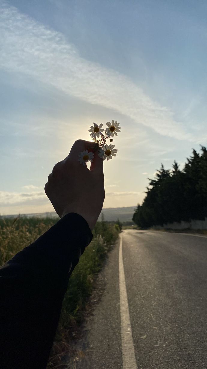 "Kuşları boş ver sevgilim, papatya koysunlar yoluna.❤