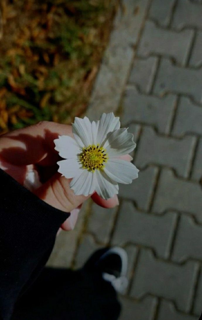 Mevsimlerden papatyayı severim. Sonra seni. Sonra yine seni. Ve hep seni.🌸