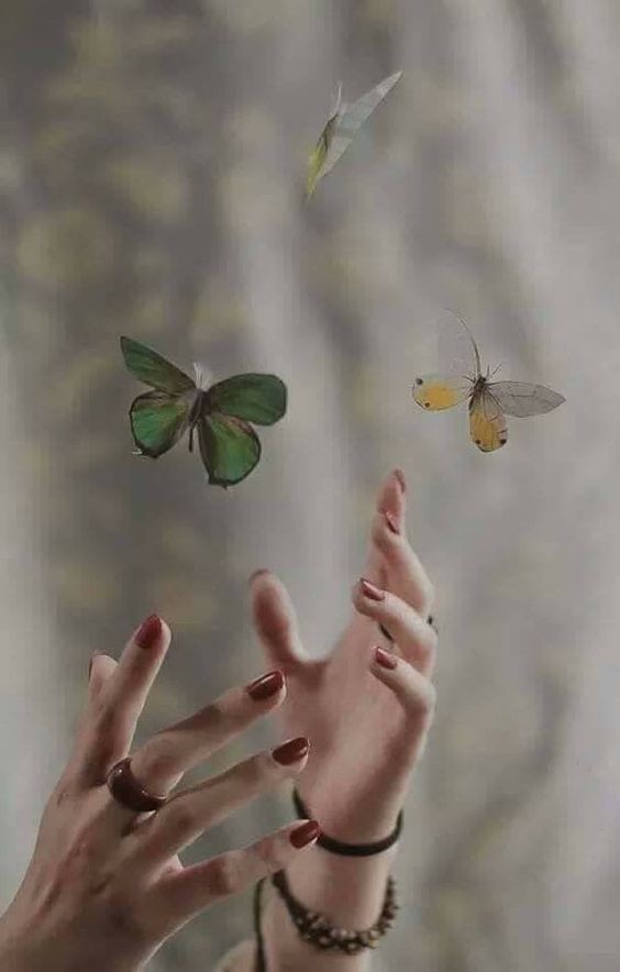 🦋Her şey bir şeyleri etkiler 🦋