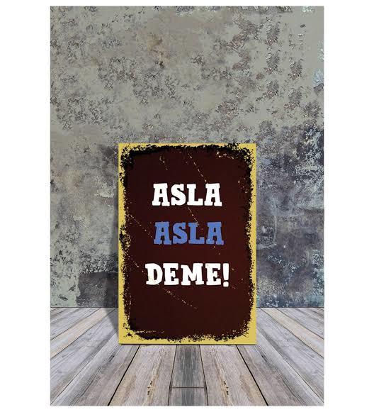 Asla dediğiniz neyi yaptınız?