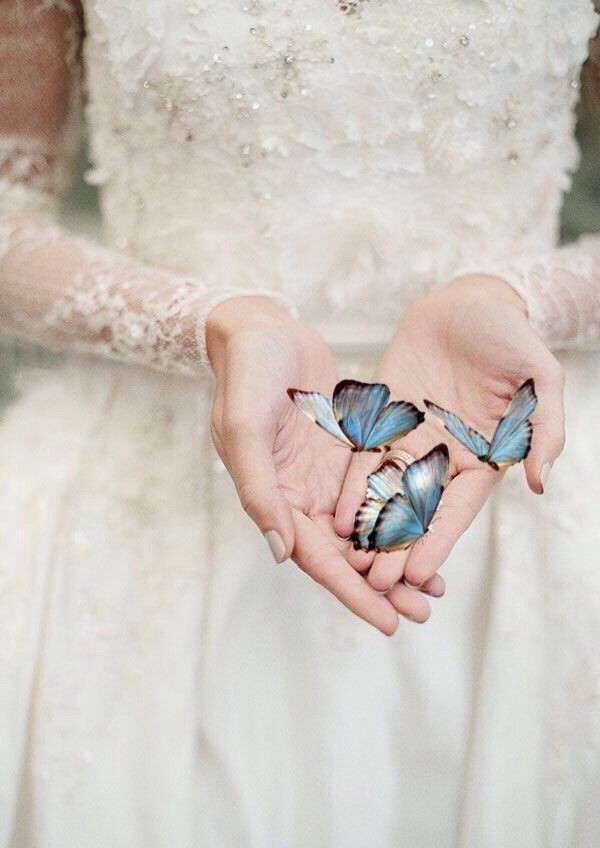 🦋Her şey bir şeyleri etkiler 🦋
