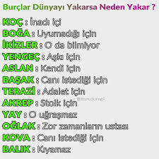 Burcuna göre Dünyayı hangi sebepten yakarmışsın ve sizce doğru mu 😂?