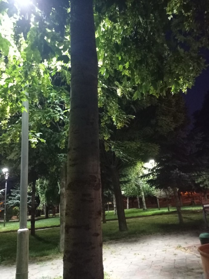 En son neyin resmini çektiniz📸?