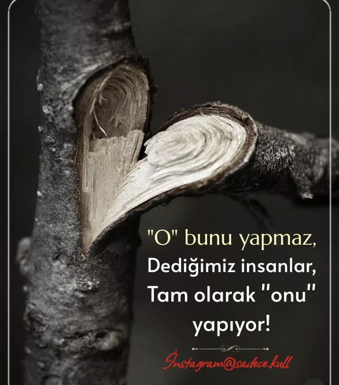 Herkes her şeyi yaparmış!