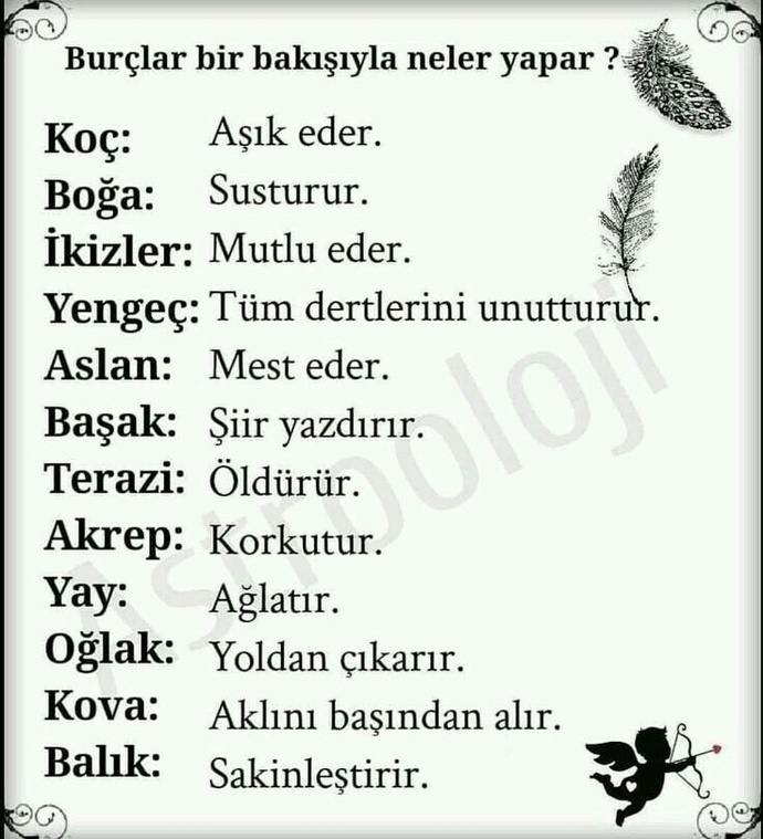 Burcunuza göre bir bakışınızla neler yaptırırsınız?