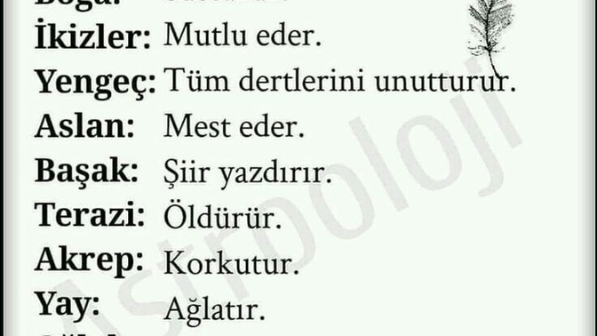 Burcunuza göre bir bakışınızla neler yaptırırsınız?