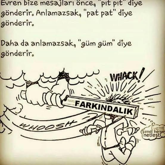 artık nerede yakaladığın sana kalmış 😅