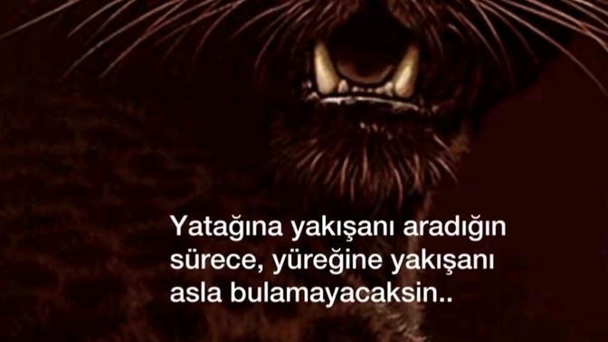 Yatağınıza yakışanı mı arıyorsunuz, yüreğinize yakışanı mı?