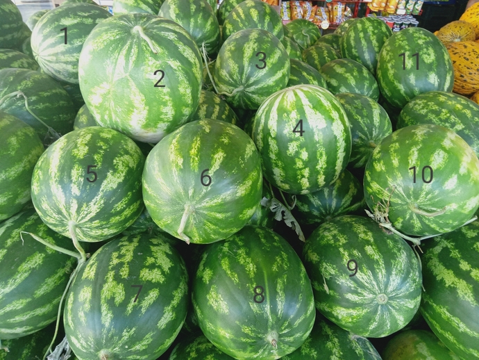 Sen olsan hangi karpuzu seçerdin?