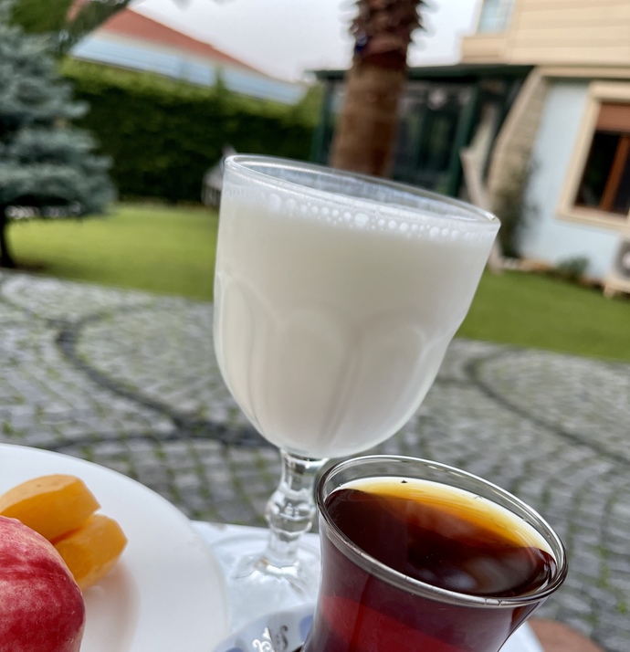 Bu sıcak yaz akşamında tercihin çaydan yana mı, ayrandan yana mı?