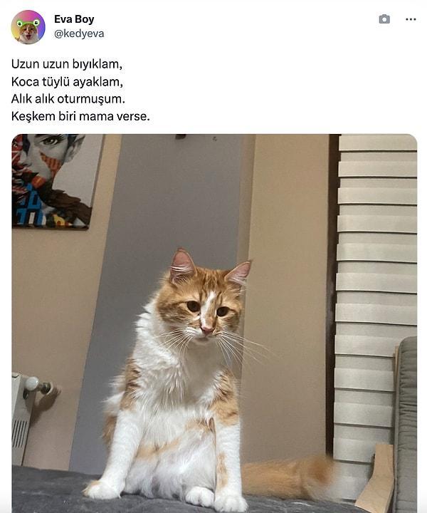 Sevgiliye şiir yazmak romantik mi yoksa klişe mi?