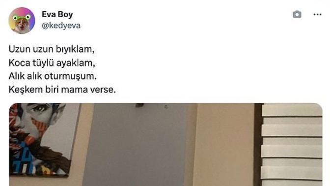 Sevgiliye şiir yazmak romantik mi yoksa klişe mi?