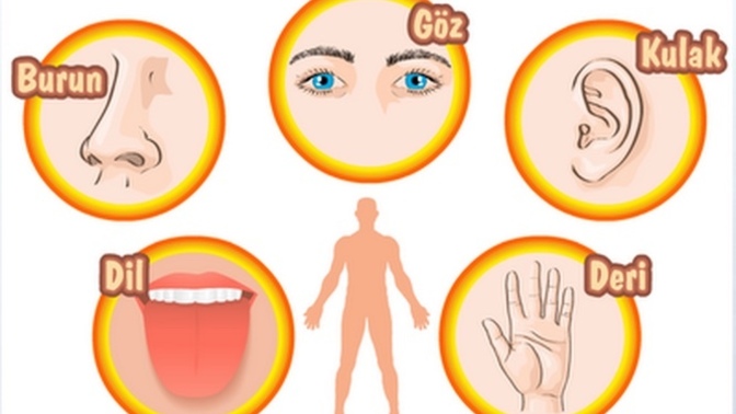 Sevgilinin/Eşinin yaşaması için 5 duyu organından hangisini feda ederdin?