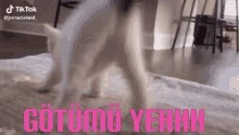 Erkek arkadaşımdan 2 yaş büyüğüm. Aileler sorun eder mi?