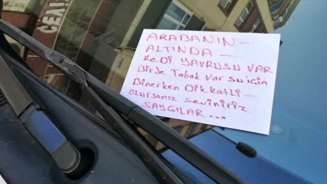 Arabayı çalıştırmadan altını kontrol eder misin?