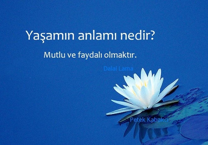 Sizce yaşamın anlamı nedir?