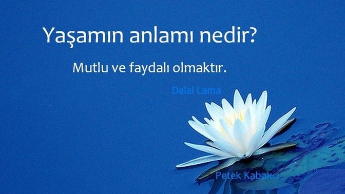 Sizce yaşamın anlamı nedir?