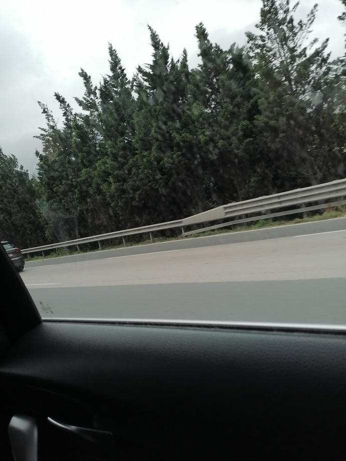 En son hangi şehire gittiniz?