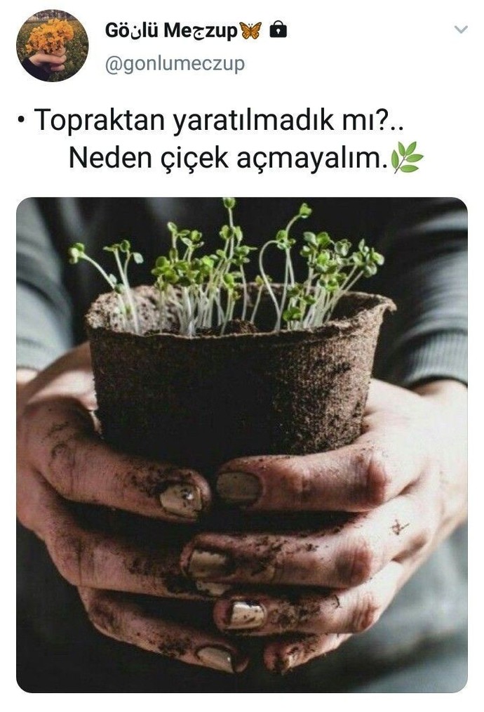 Çiçek açmak bitkilere mi özgüdür?