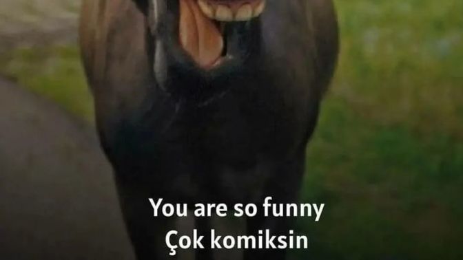 107 yaşına kadar yapılacak listesi önerir misiniz?