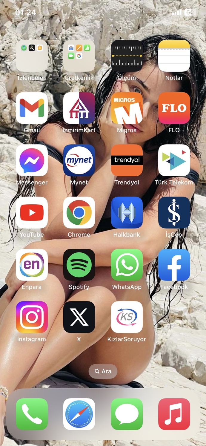 Sevdiğiniz sanatçının resmini duvar kağıdı yapar mısınız?
