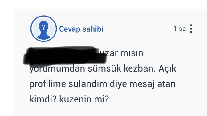 Bu gizli üyelerin amacı ne?