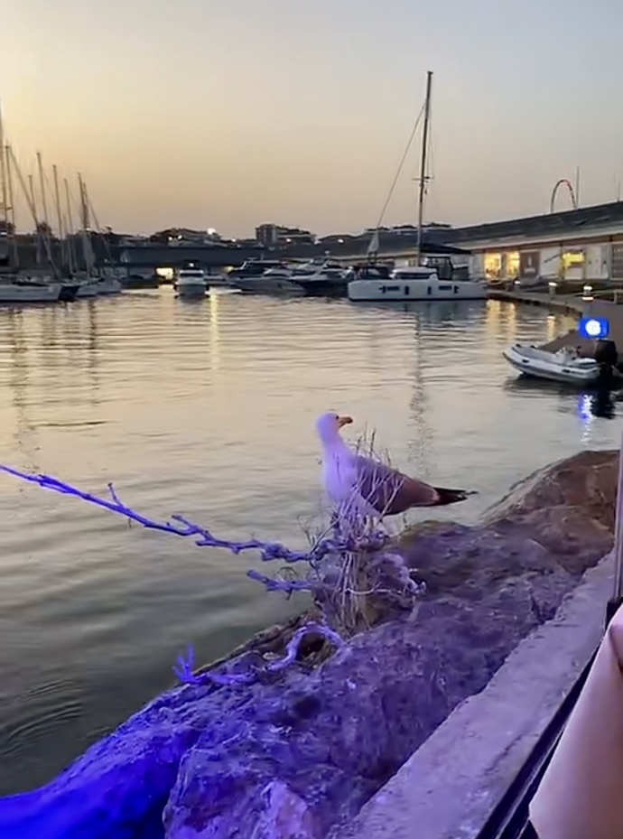 Gecenizi güzelleştiren bir şeyler var mı?