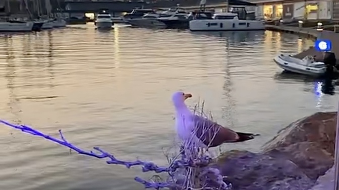 Gecenizi güzelleştiren bir şeyler var mı?