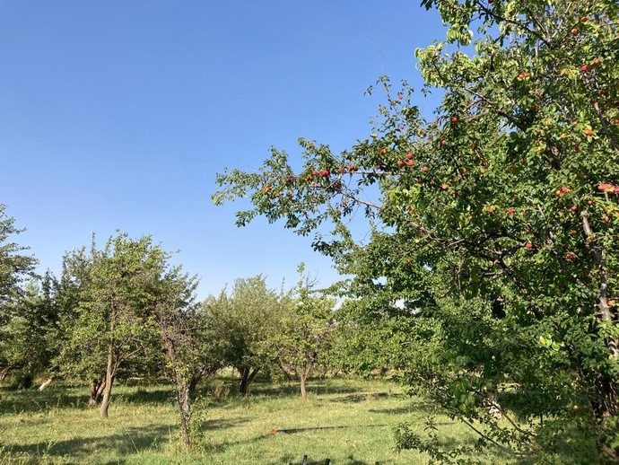 Bugün nereleri gezdiniz?