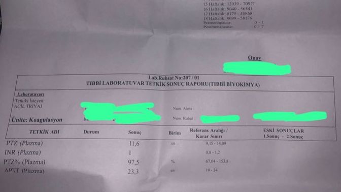 Kanda hamilelik testi yorumlayabilecek?