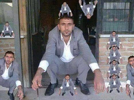 Bir de şu ayıya bak.