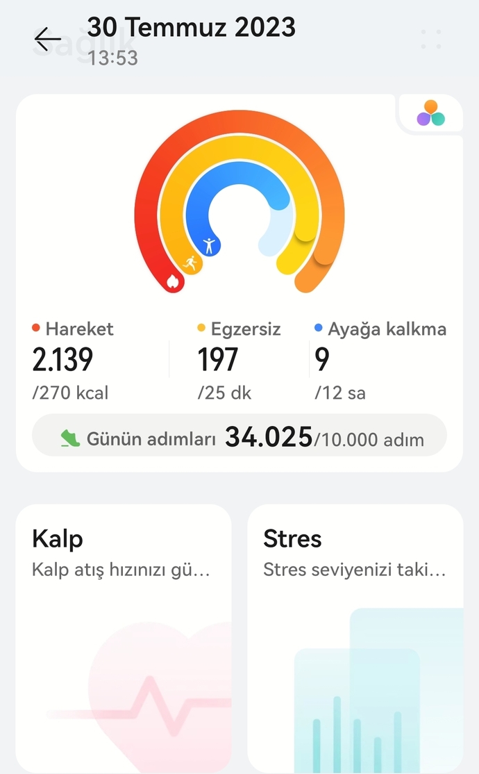 Bugünkü pazar aktiviteniz neler?
