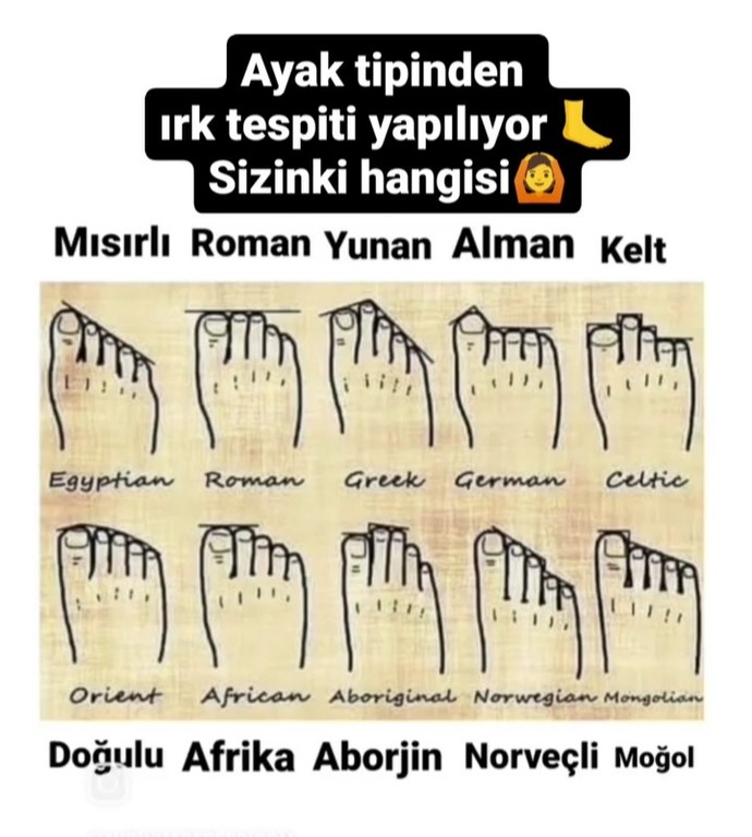 Ayak tipinden ırk tespiti yapılıyormuş. Sizinki hangisi?