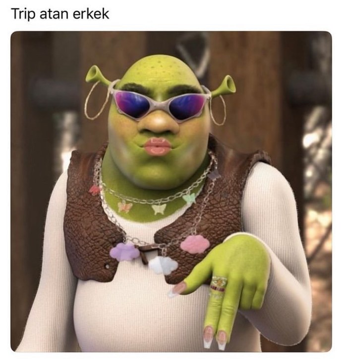 Trip aten erkeğe ne demek isterdiniz?