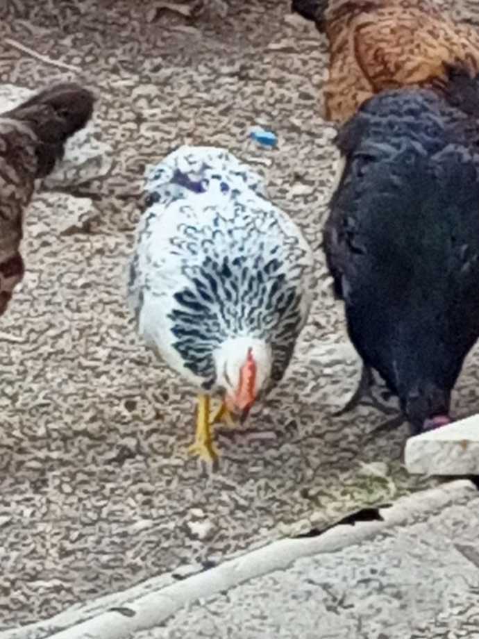 Güzel karelerinize talibim, yeni keşifler sever misiniz?