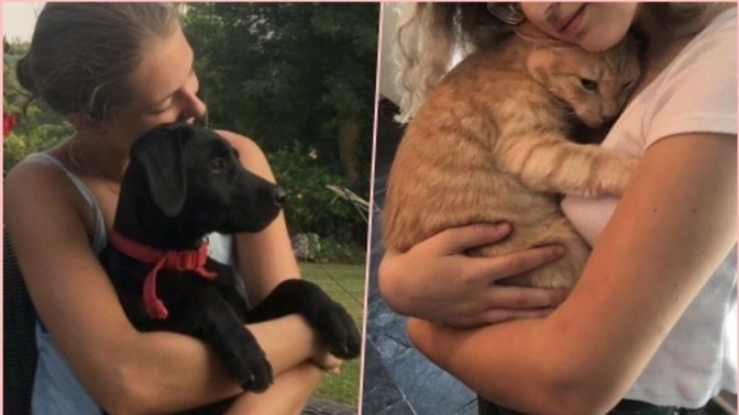 Kedi insanı mısınız yoksa köpek insanı mı?