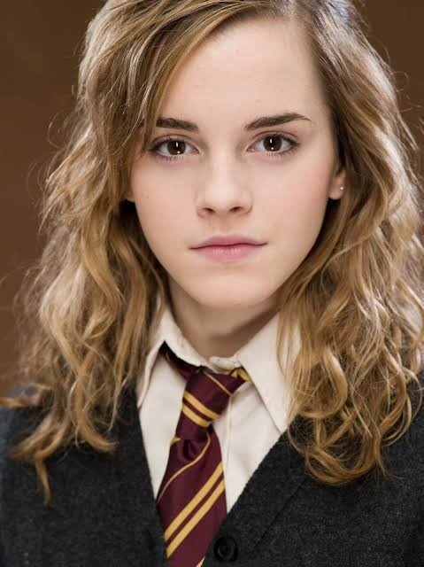 Harry Potter hayranı mısınız?