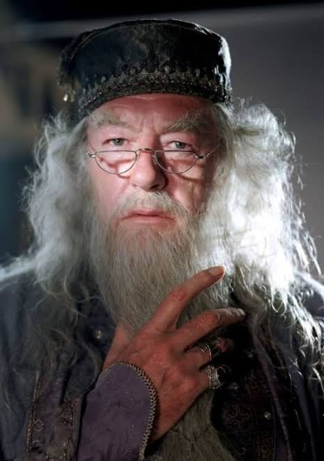Harry Potter hayranı mısınız?