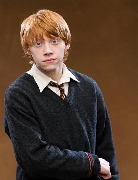 Harry Potter hayranı mısınız?