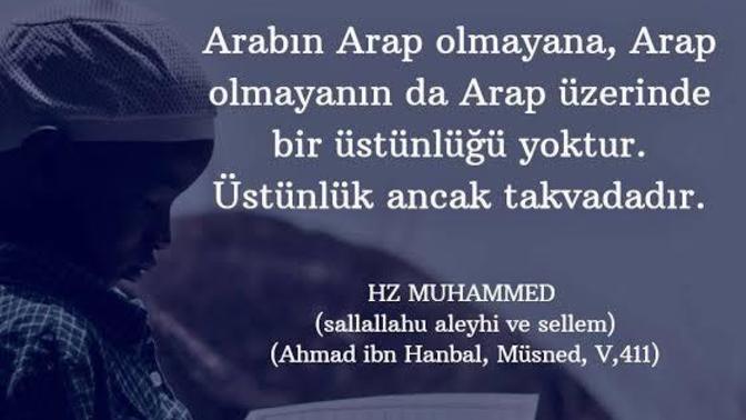 Bazı Türkler neden bu kadar koyu bir şekilde Arap ırkçılığı yapıyorlar?