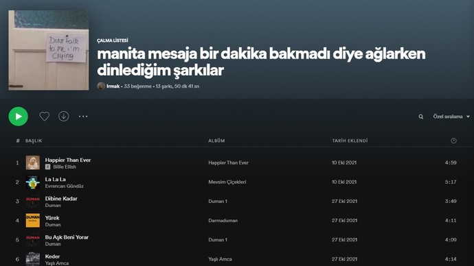 Playlist isimlerinden hangisi komik ve yaratıcı?