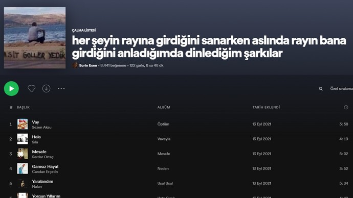 Playlist isimlerinden hangisi komik ve yaratıcı?