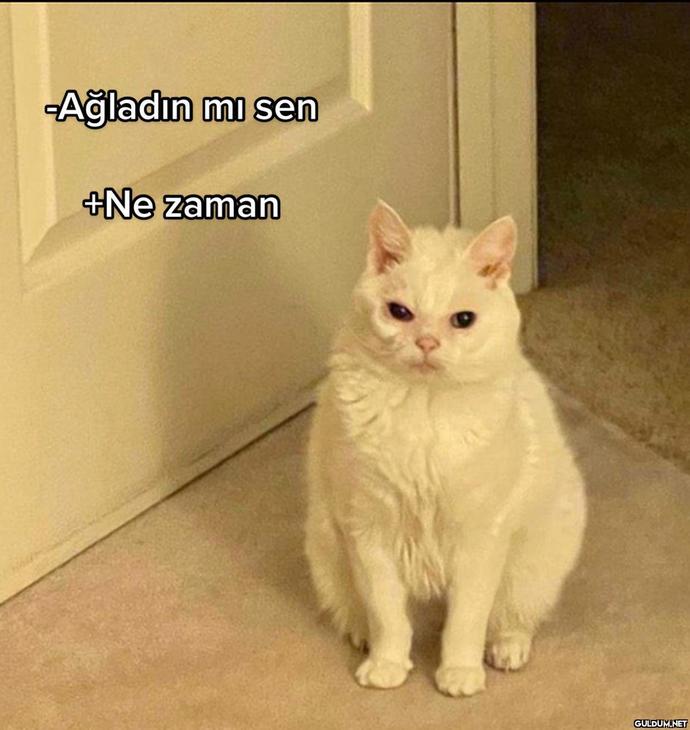 Üzüldüğünüzde ya da kızdığınızda, bu durum yüzünüze yansır mı?