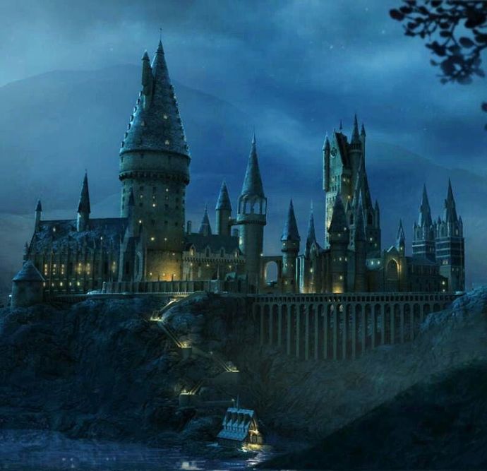 Hogwarts gerçek olsaydı, gitmek ister miydiniz?