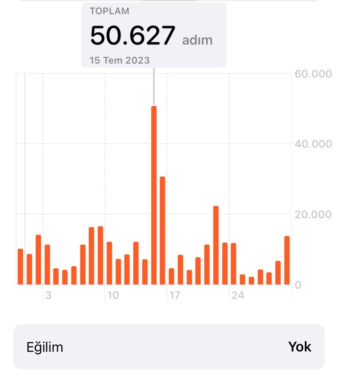 Gün içinde ne kadar hareketlisin?