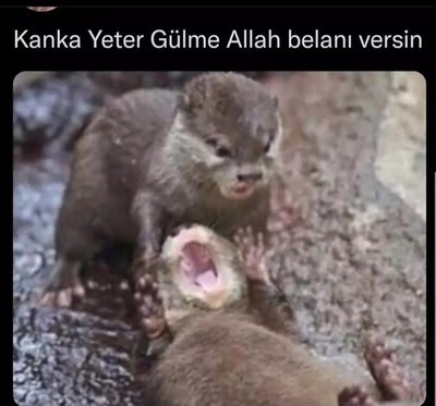 Senle anlaşmak kolay mıdır yoksa zor mudur?