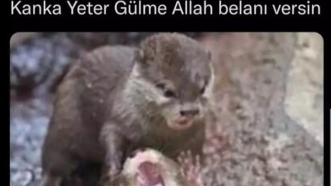 Senle anlaşmak kolay mıdır yoksa zor mudur?